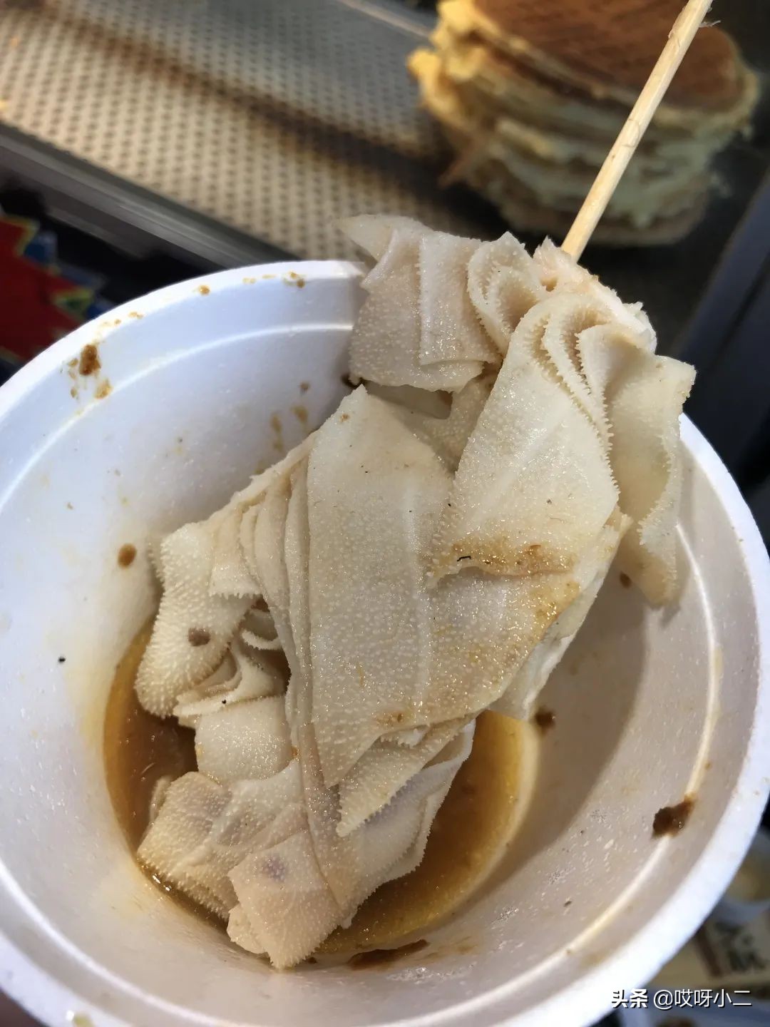 “天人合一”的香港，是我最中意的地方