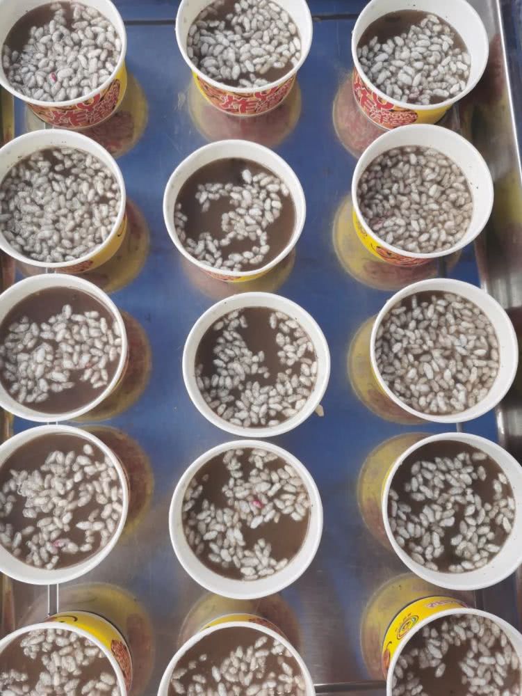 贵州遵义油茶汤,走去贵州喝美酒