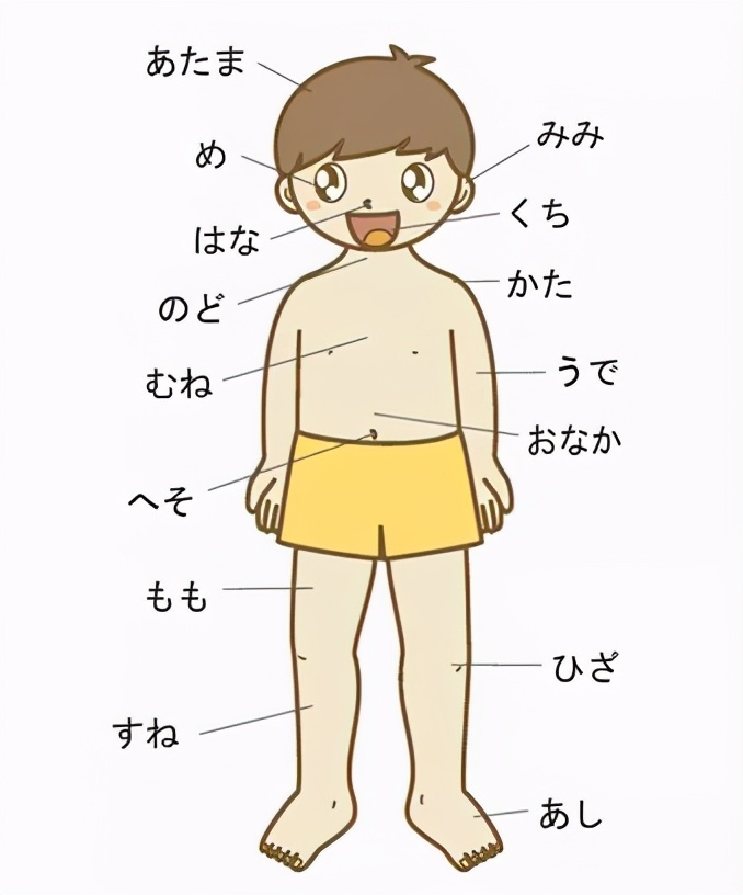 值得收藏的100个商务日语词汇,日语和身体有关的惯用句