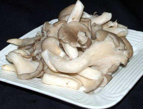 干炸蘑菇做法只放生粉,干炸蘑菇的做法和配料比例