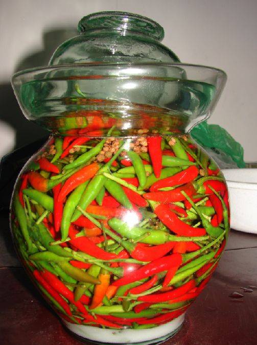 开胃下饭的泡菜怎么做,开胃下饭腌泡菜做法