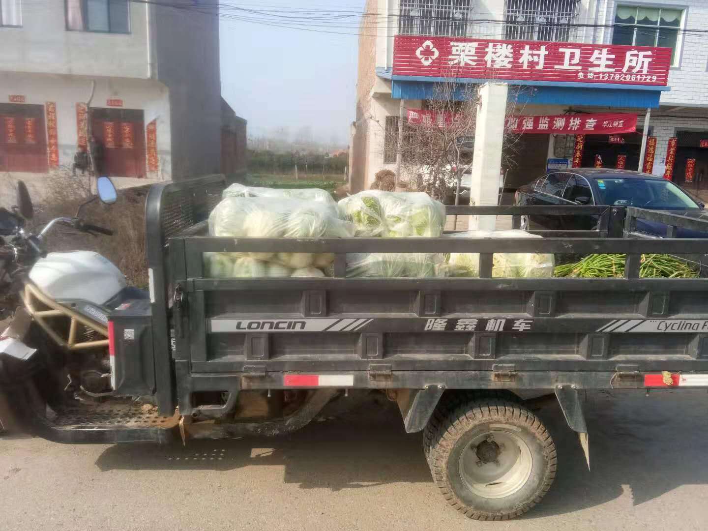 埠江镇积极开展“*党**员多跑腿、群众少出门”活动