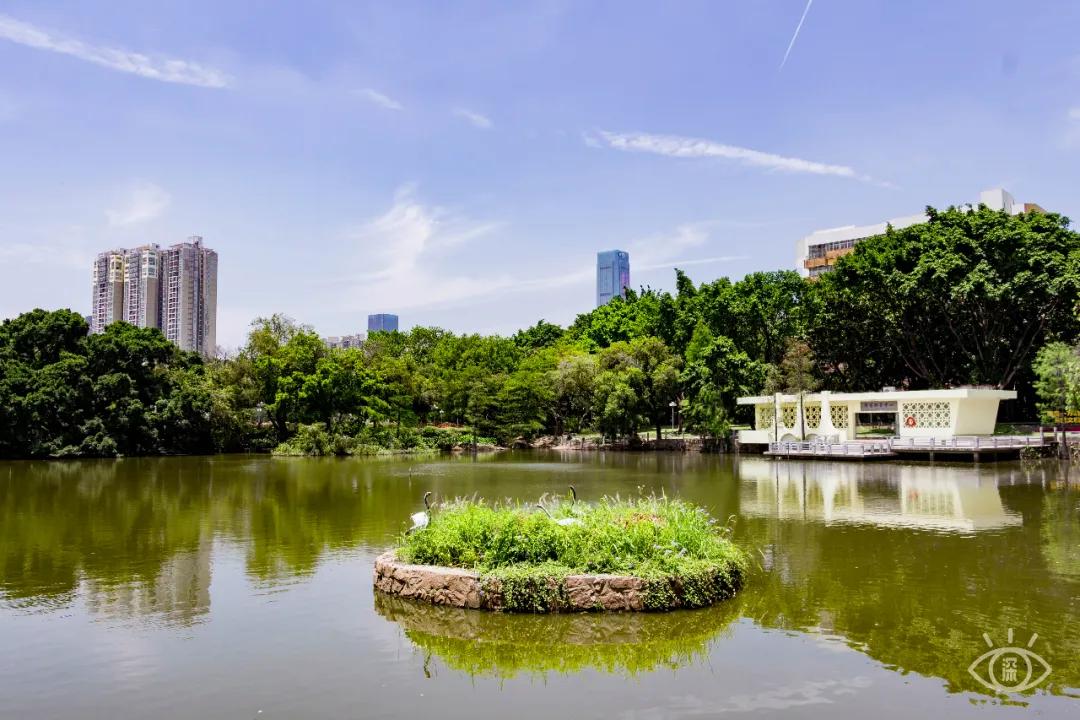 重庆轨道3号线,贵阳地铁3号线