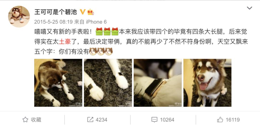 高质量男性王思聪,王思聪谈男人