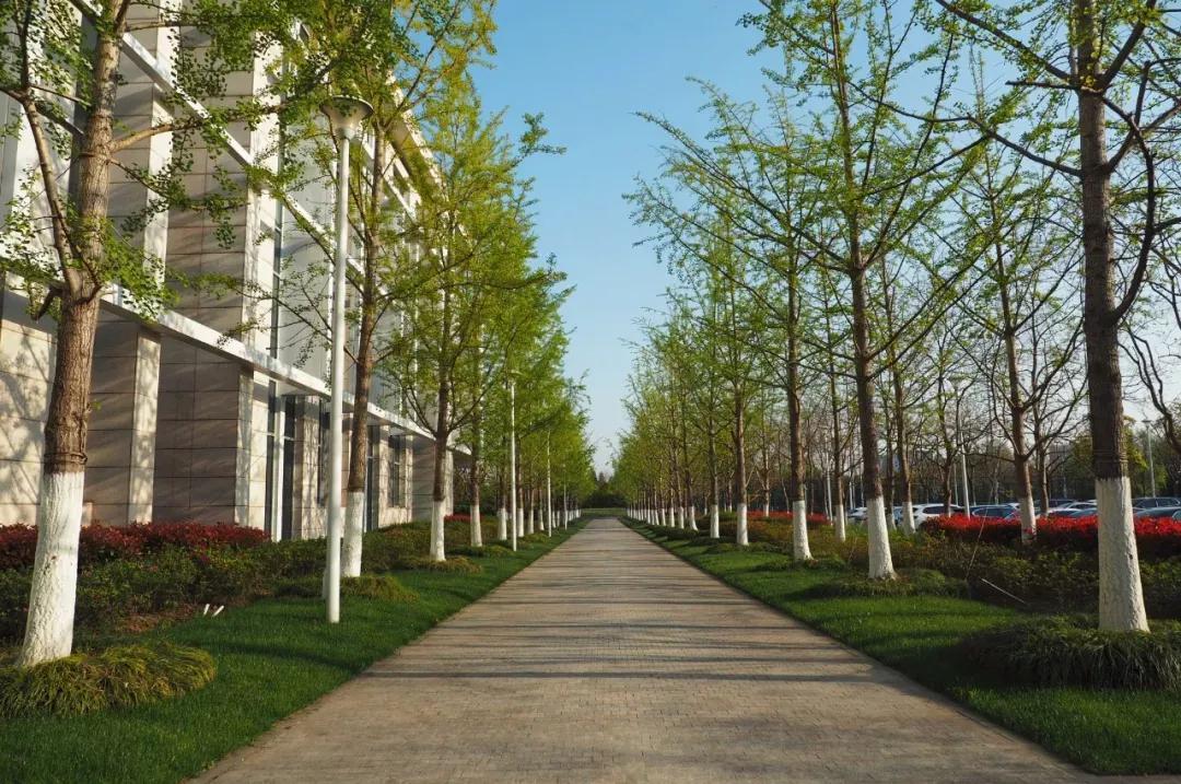 昆山杜克大学简介,江苏昆山杜克大学硕士