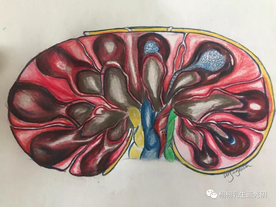 经期淋巴结肿大怎么回事,腹部淋巴结肿大怎么回事