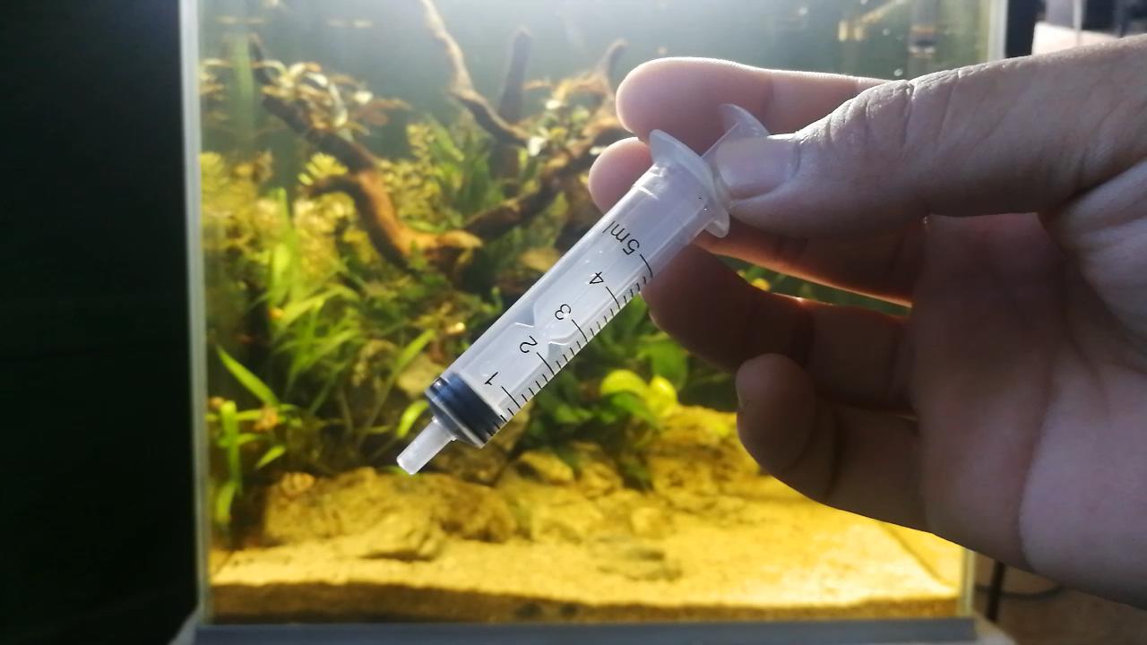 戊二醛鱼缸除藻可以每天加吗,怎样用戊二醛去除鱼缸中的绿藻