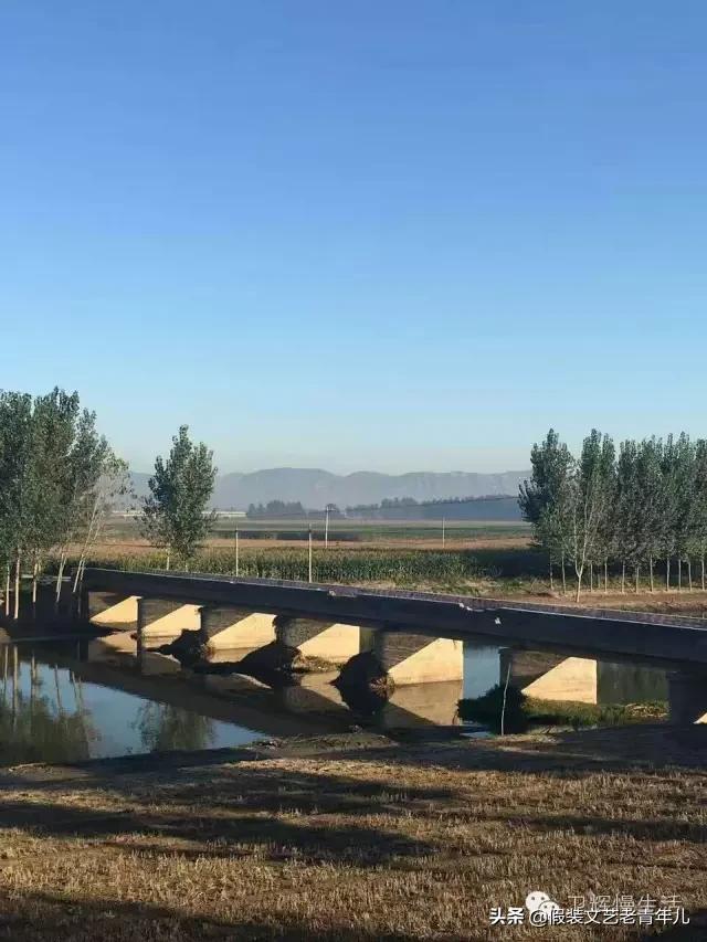 卫辉人那些昼思夜想的桥!究竟有何魔力?