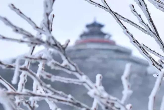 此生必去看一次雾凇太美了,此生必去看一次雾凇简直要美哭了