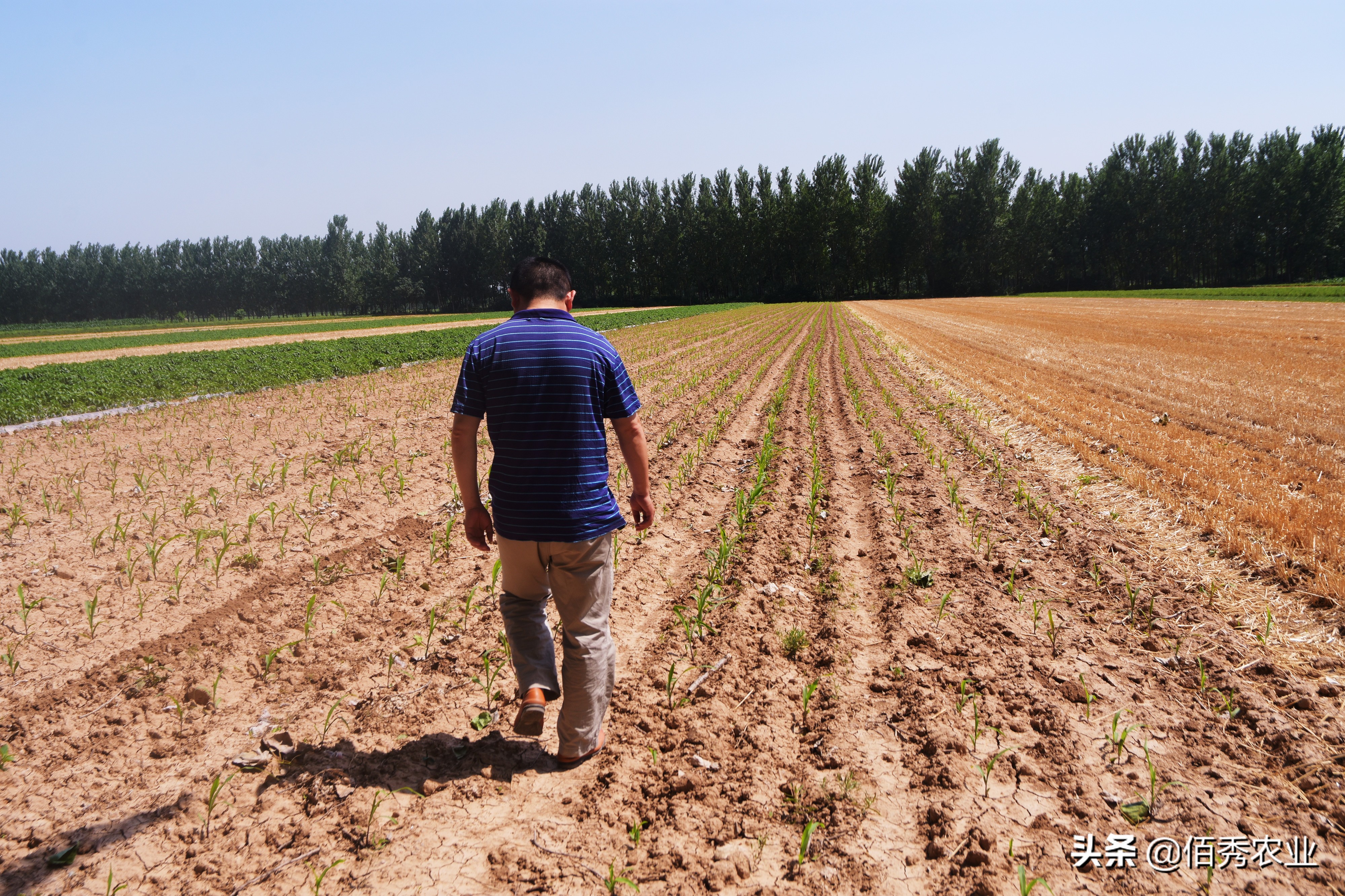 农村遇到合不来的邻居怎么办,遇到邻居拱地边怎么办