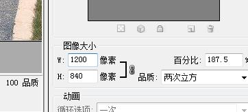 银行网申的话一般要几寸的照片,银行网申照片要求