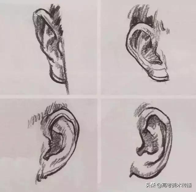 速写五官技法,速写五官的画法精讲