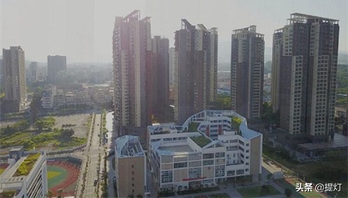 深圳坪山小学排名2019,深圳坪山小升初小学排行榜