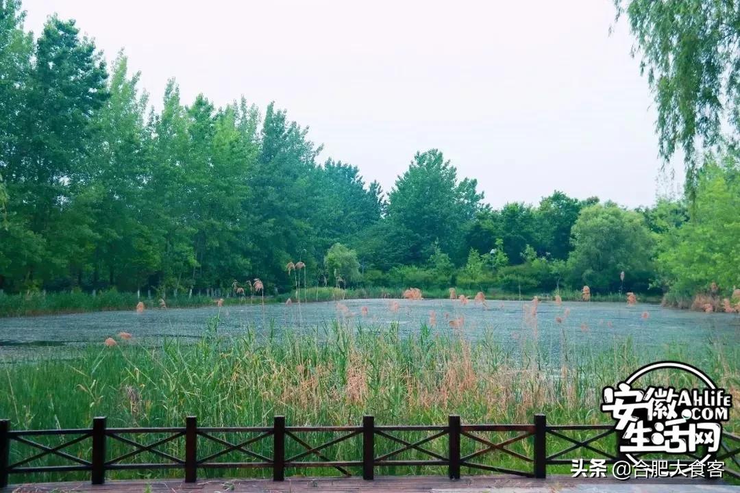 2020年,在这50个地方遇见不一样的合肥