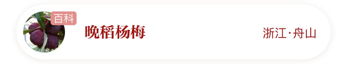 国家地理标志产品仙居杨梅,杨梅地理