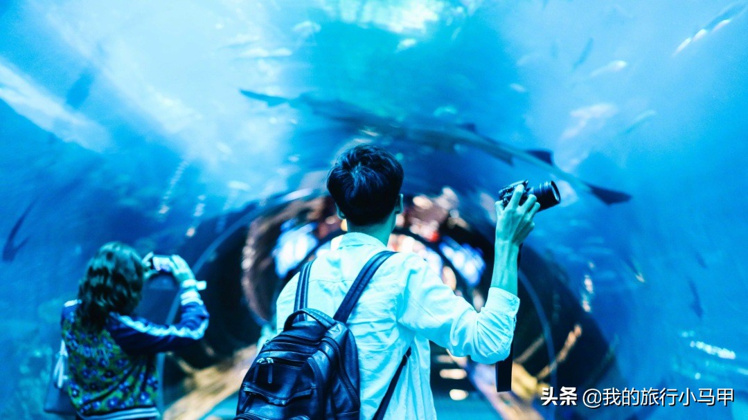 迪拜旅游最全最完美最实用攻略,迪拜旅游最详细攻略