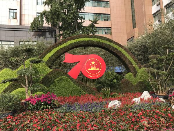 百花齐放迎盛世华夏崛起在今朝,花团锦簇万众瞩目