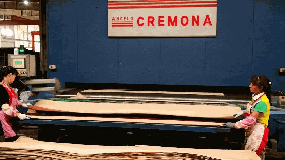 木皮染色材料视频,常见天然木皮