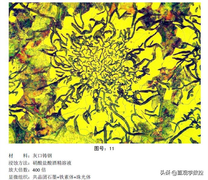 金相如何分辨奥氏体和铁素体,马氏体奥氏体金相