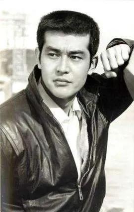 日本渡哲也,渡哲也秀吉