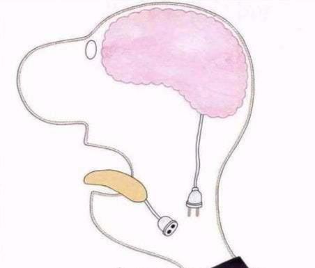 减肥期间管不住嘴要怎么去减肥,减肥管不住嘴馋怎么办