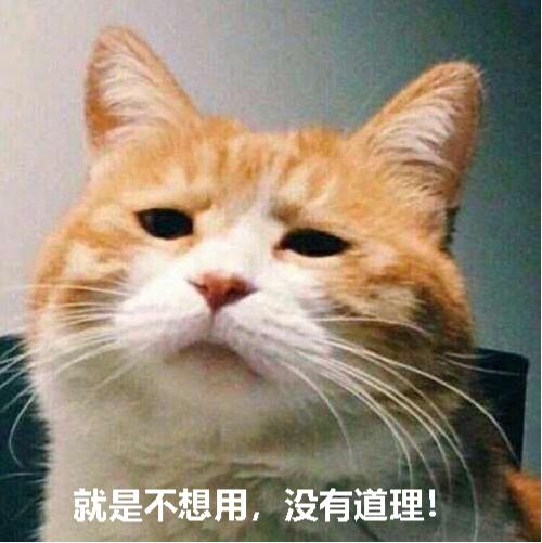 猫咪乱尿怎么除臭,猫咪往床上尿尿了买什么除臭