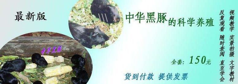 订单式养殖都有哪些好项目和方法,利润很吓人的10个冷门养殖项目