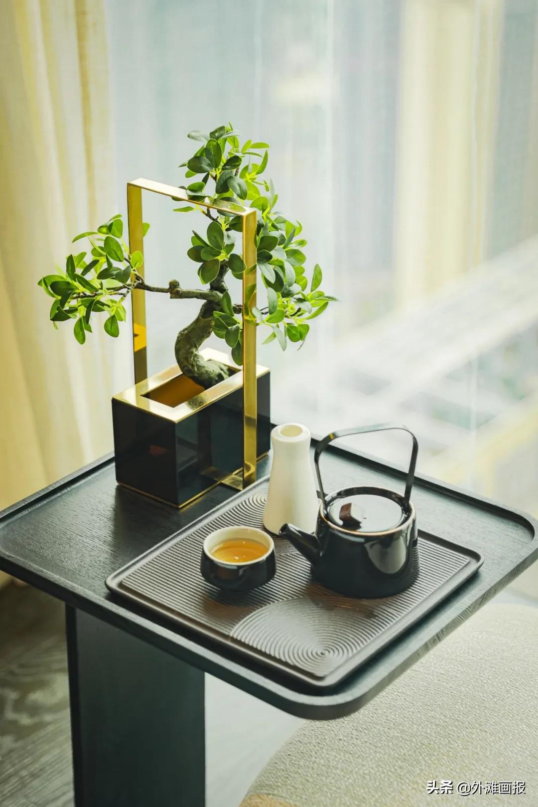 苏州添新酒店!凌空避世,这家英迪格又酷又雅