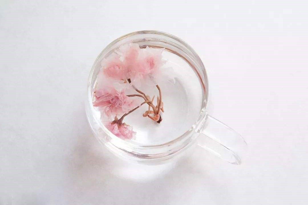 爱美之心人皆有之的美是什么意思,爱美之心人皆有之正常吗