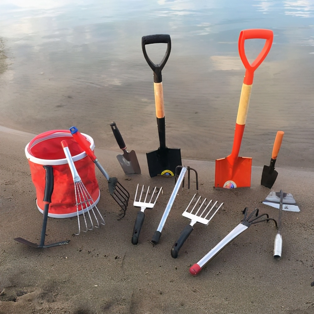 赶海时间和最佳赶海地点,海南新手赶海技巧