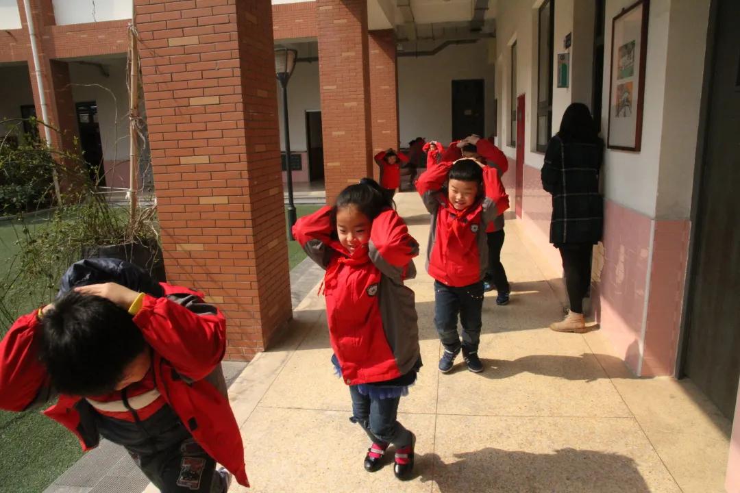 南京市金陵小学简介,南京市金陵小学多少个班