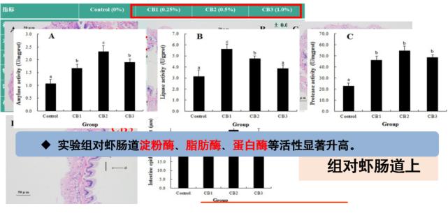 丁酸梭菌能快速修复肠道吗,丁酸梭菌在水产中有什么作用