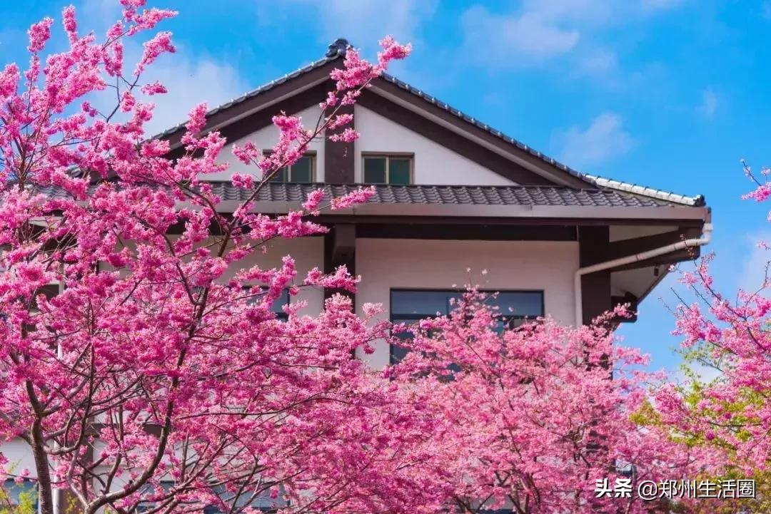 二月份适合去哪旅行,二月份最值得旅游的地点