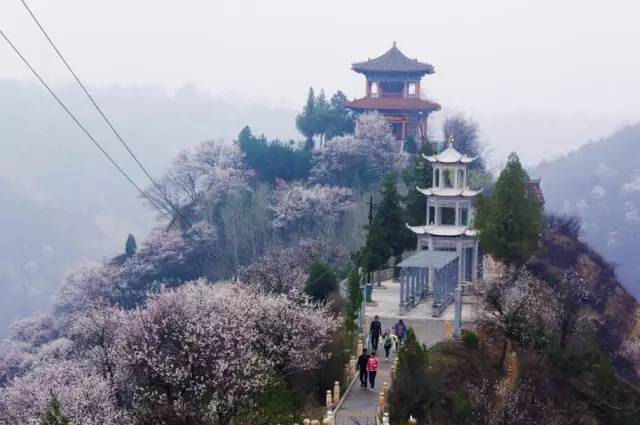 甘肃庆阳西峰话题,甘肃庆阳西峰真实生活