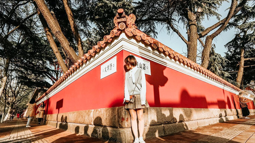 养马岛海驴岛,2020山东海驴岛旅游攻略