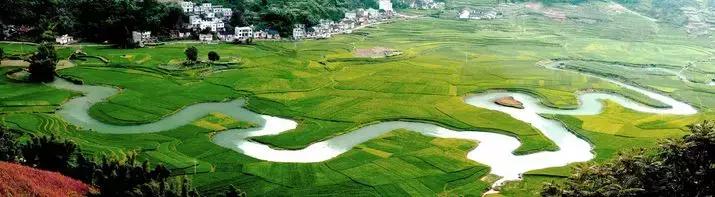 探秘广西巴马长寿之旅,广西巴马长寿探秘之旅