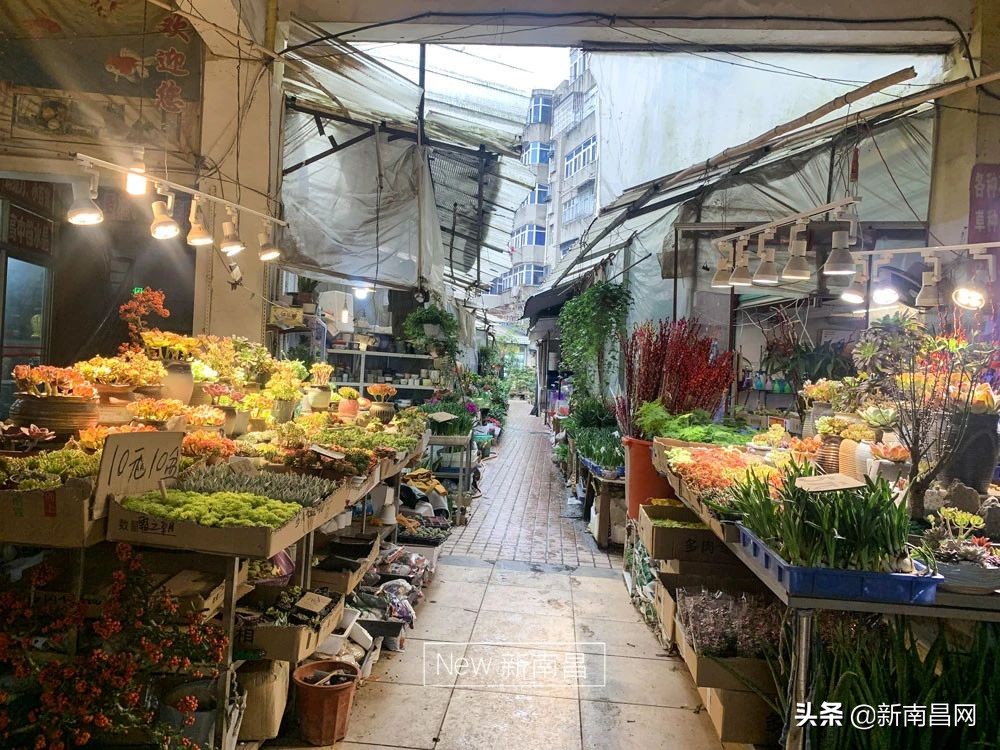 南昌花市有哪些地方,南昌花市批发市场