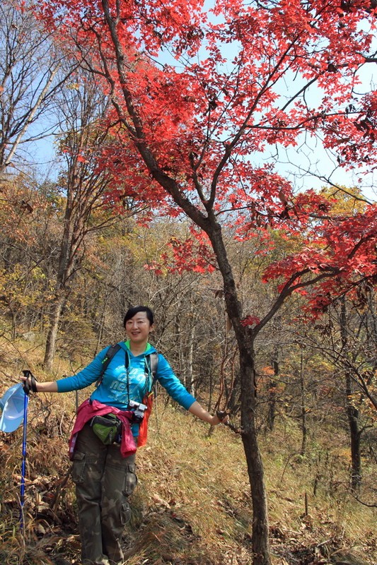如果在洛南遇见你