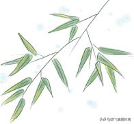 速耐详细了解,速耐的优点