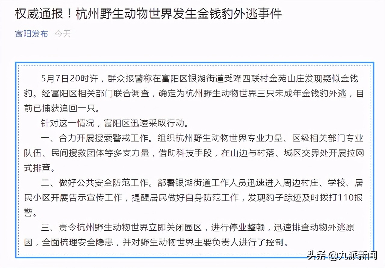 杭州动物园3只金钱豹逃脱,杭州3只金钱豹外逃