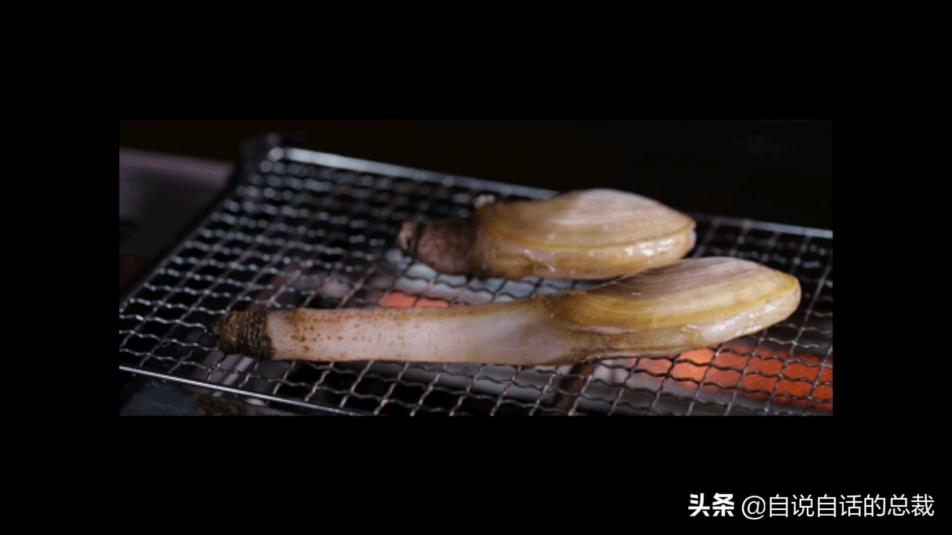 蛤、蚶、蛏、蚝、蚬有什么区别？这是一群美味海怪与人类的故事