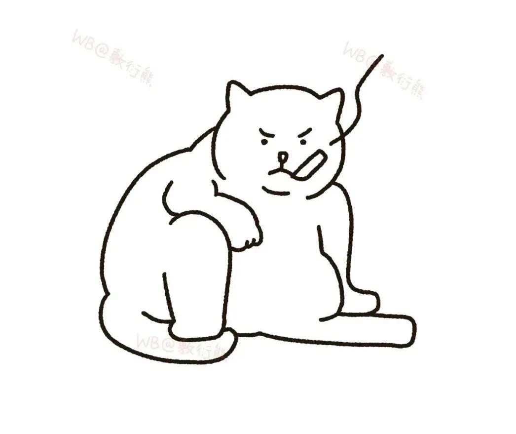 可怜的猫咪是怎么被整惨,这只猫被网友整成什么样了