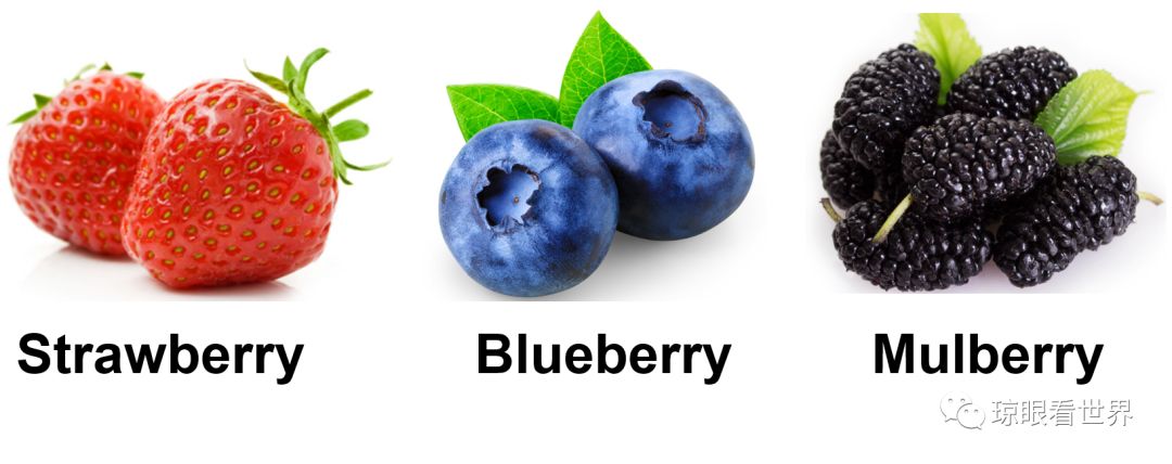 日式早教学习,最全的日本早教