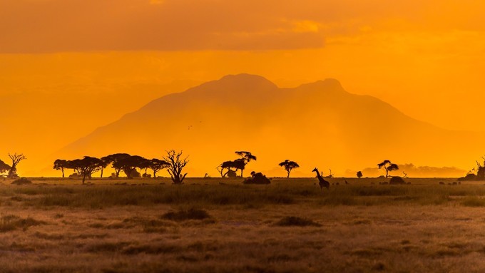 旅行攻略·肯尼亚：跟随《狮子王》震撼你的视觉，哈库拉，玛塔塔