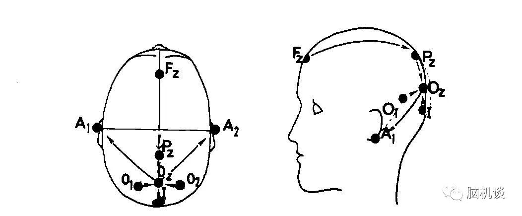 ​《脑机往事（3）—维达尔的秘密》