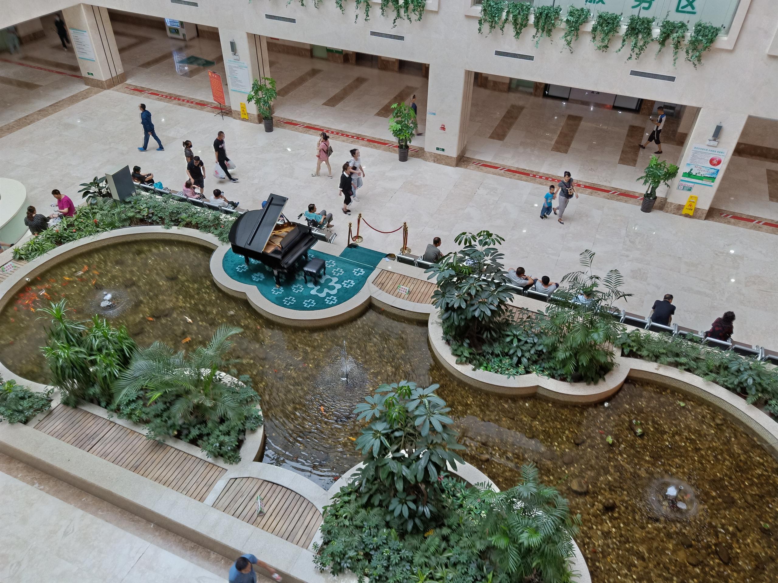 辽宁省人民医院体检,辽宁省人民医院孕检费用