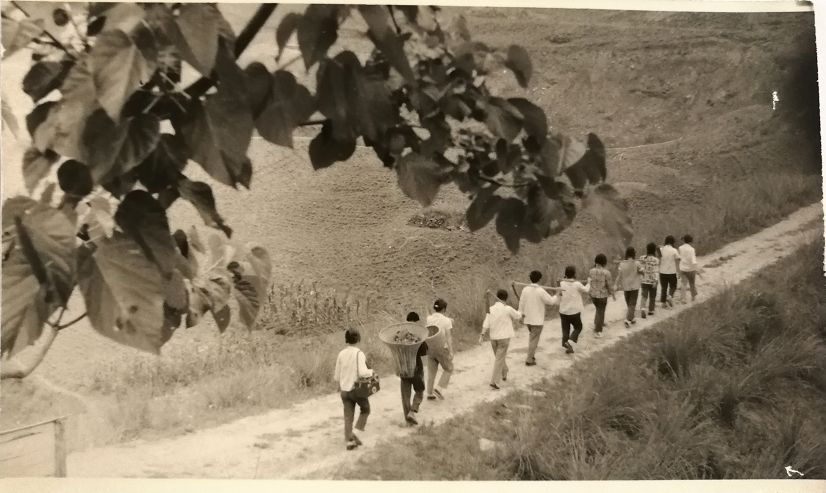 十堰的医院,十堰医院照片