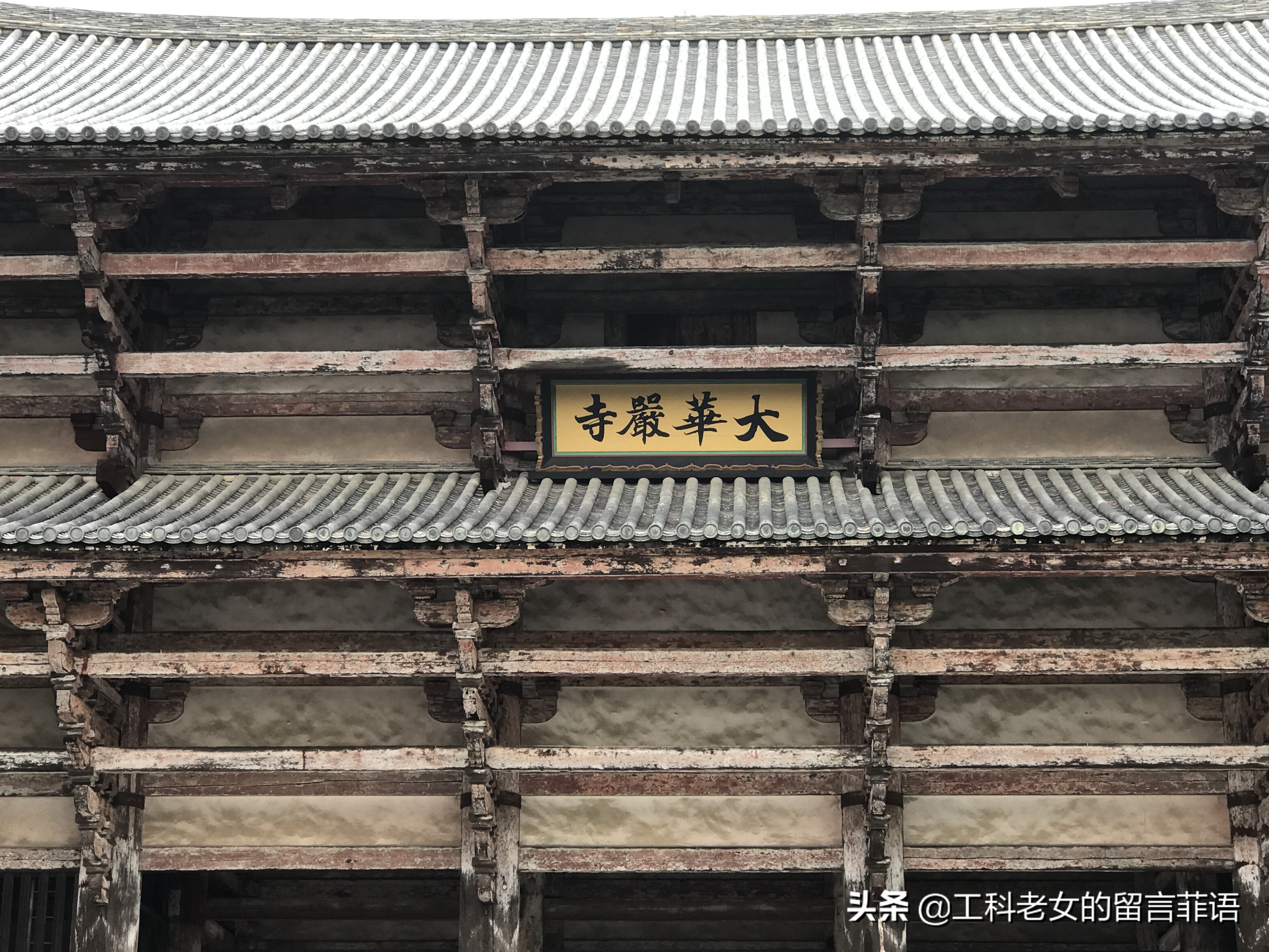 奈良东大寺大佛殿和太和殿,奈良东大寺位置地图图片