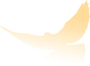 「邯郸市一中恩师奖」甘为人梯育桃李不忘初心铸师魂——记邯郸一中第五届“恩师奖”获奖者佘军仁老师