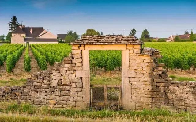 葡萄酒分级aop和aoc的区别,欧盟葡萄酒分级制度第一级别